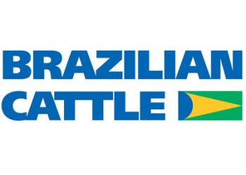 Geneal é a nova associada do Projeto Brazilian Cattle da ABCZ