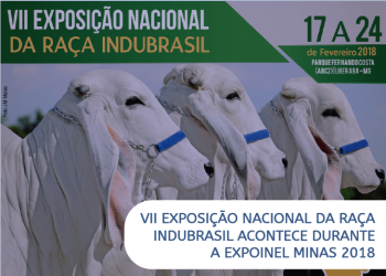 VII Exposição Nacional da Raça Indubrasil acontece durante Expoinel Minas 2018